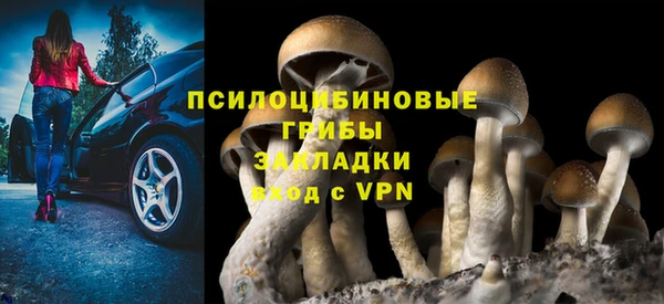 синтетический гашиш Арсеньев