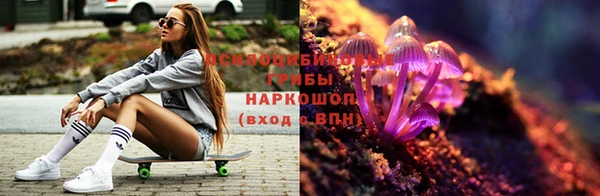 прущая мука Армянск