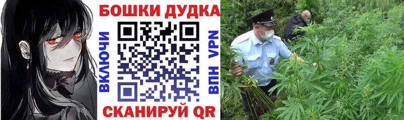 купить   Починок  МАРИХУАНА Amnesia 
